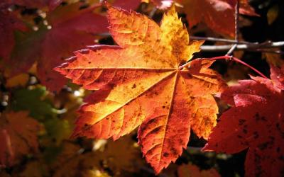 Autunno_in_arrivo_riaperture_e_nuovi_percorsi_insieme